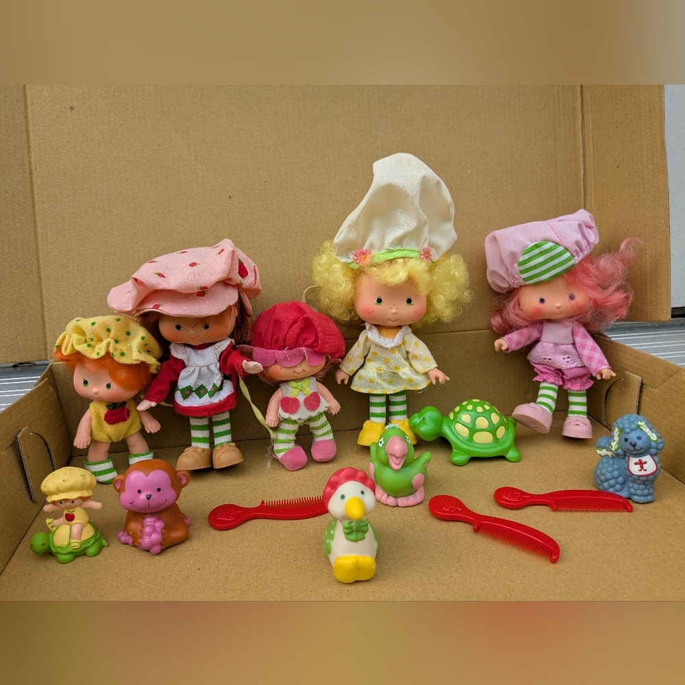 RARE Vtg Strawberry Shortcake Doll Carrying Case With Dolls And Accessories